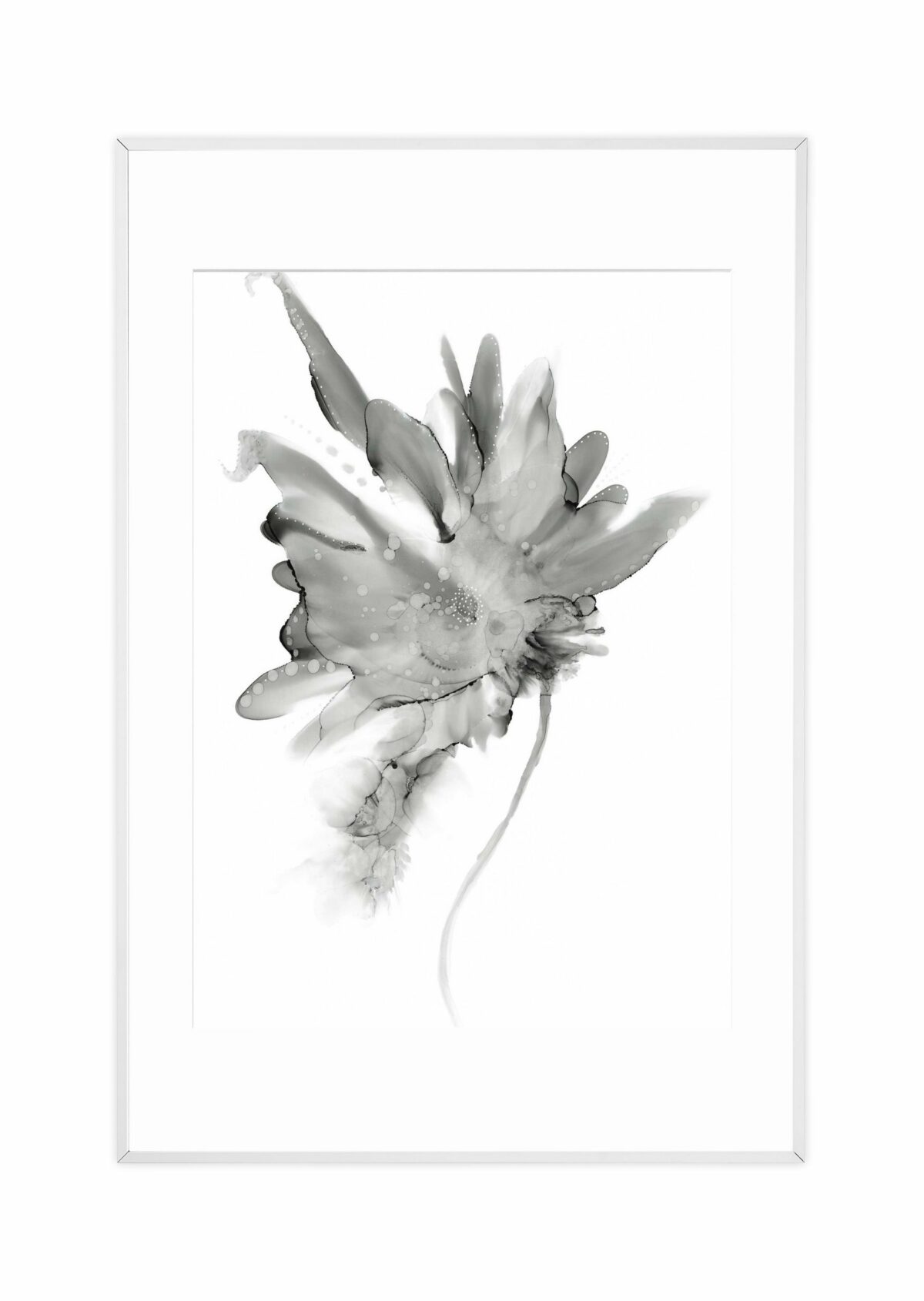 Anna Lisa -villiblom - 50x70 -hvitur rammi