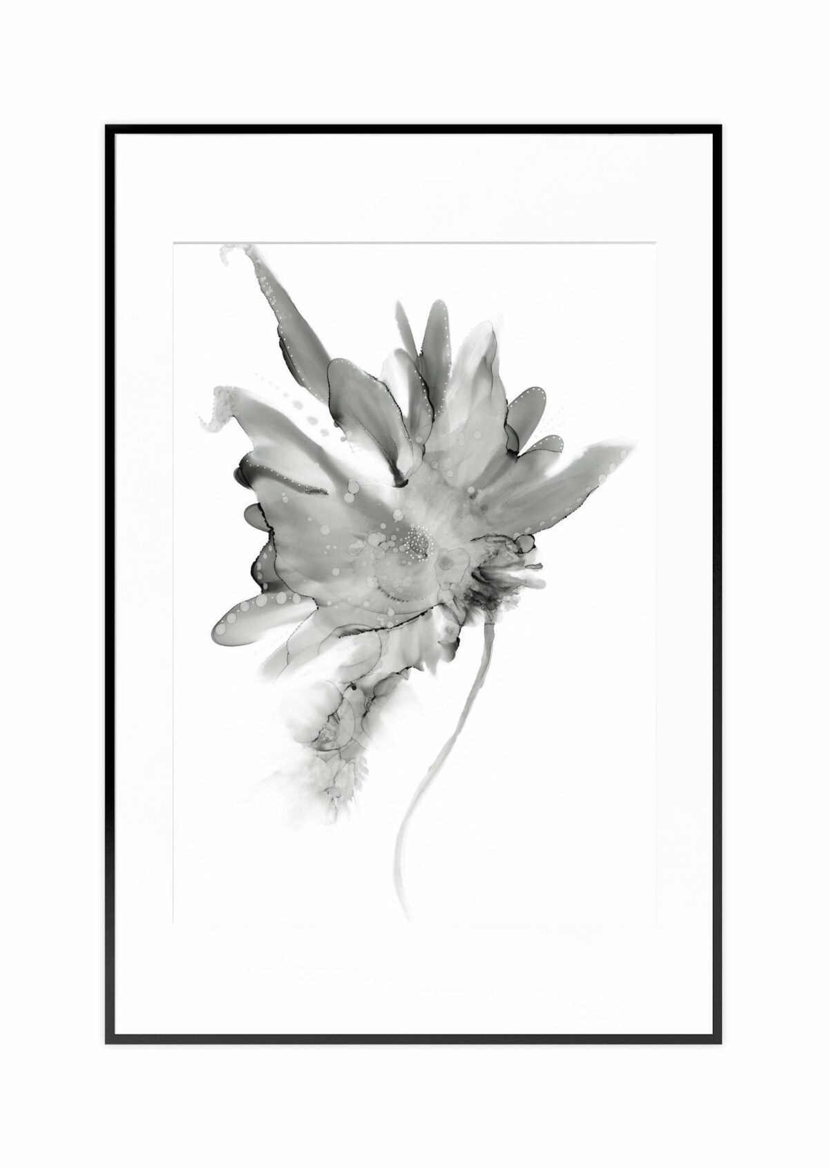 Anna Lisa -villiblom - 50x70 - svartur rammi